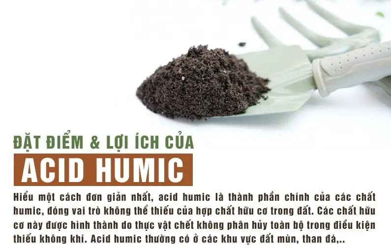 Vai Trò Của Axit Humic, Kali Humate Trong Nông Nghiệp