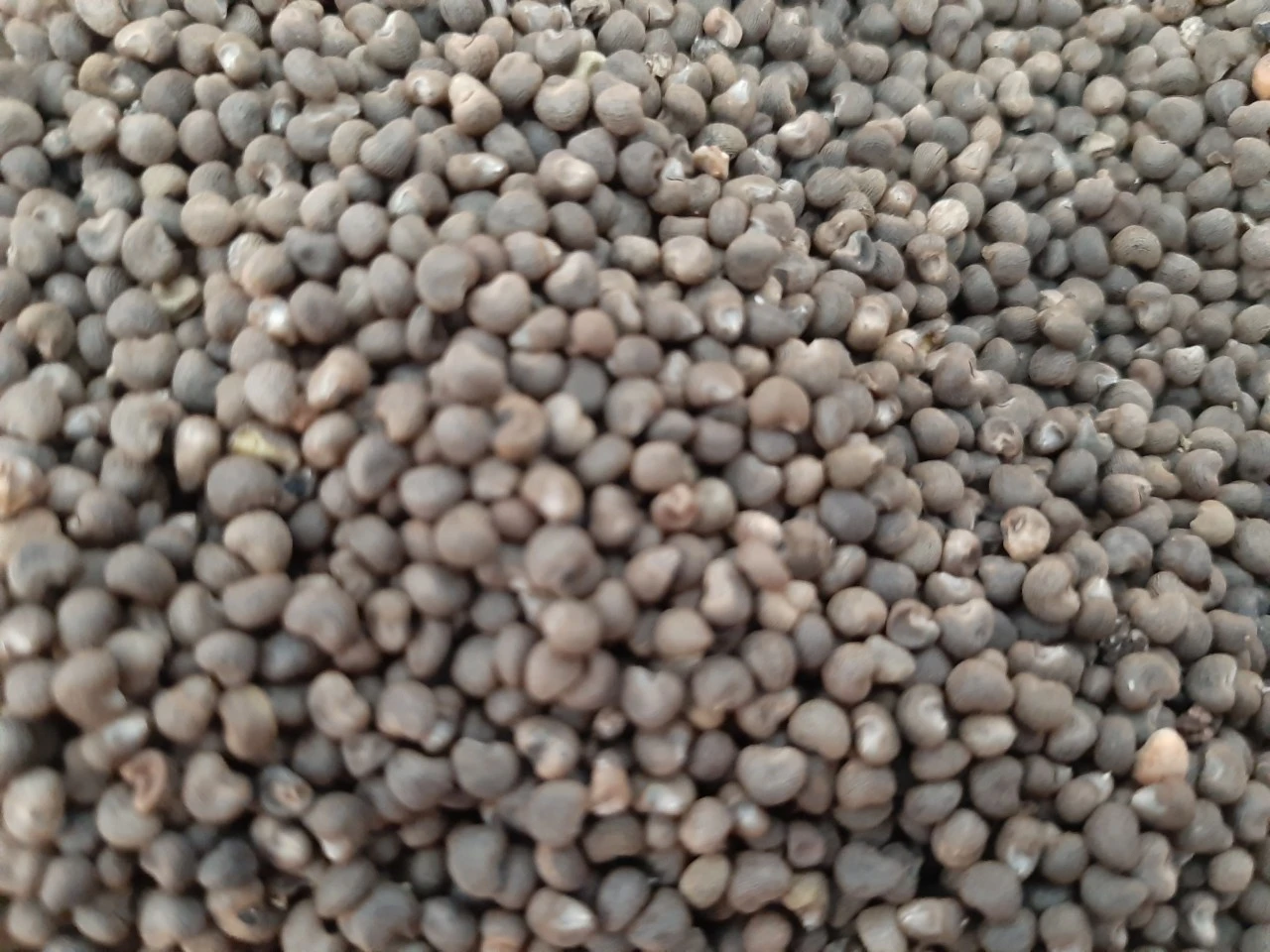 80dcdab2e26f06315f7e - Copy - Copy.webp