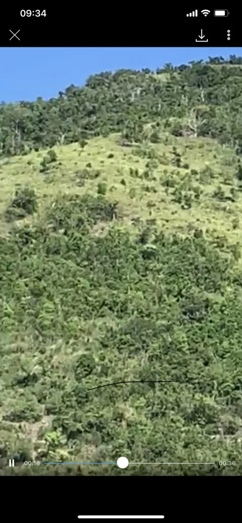 Nhờ tư vấn trồng rừng trên đất đồi trảng cỏ tranh