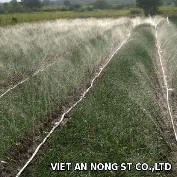 Dây tưới phun mưa
