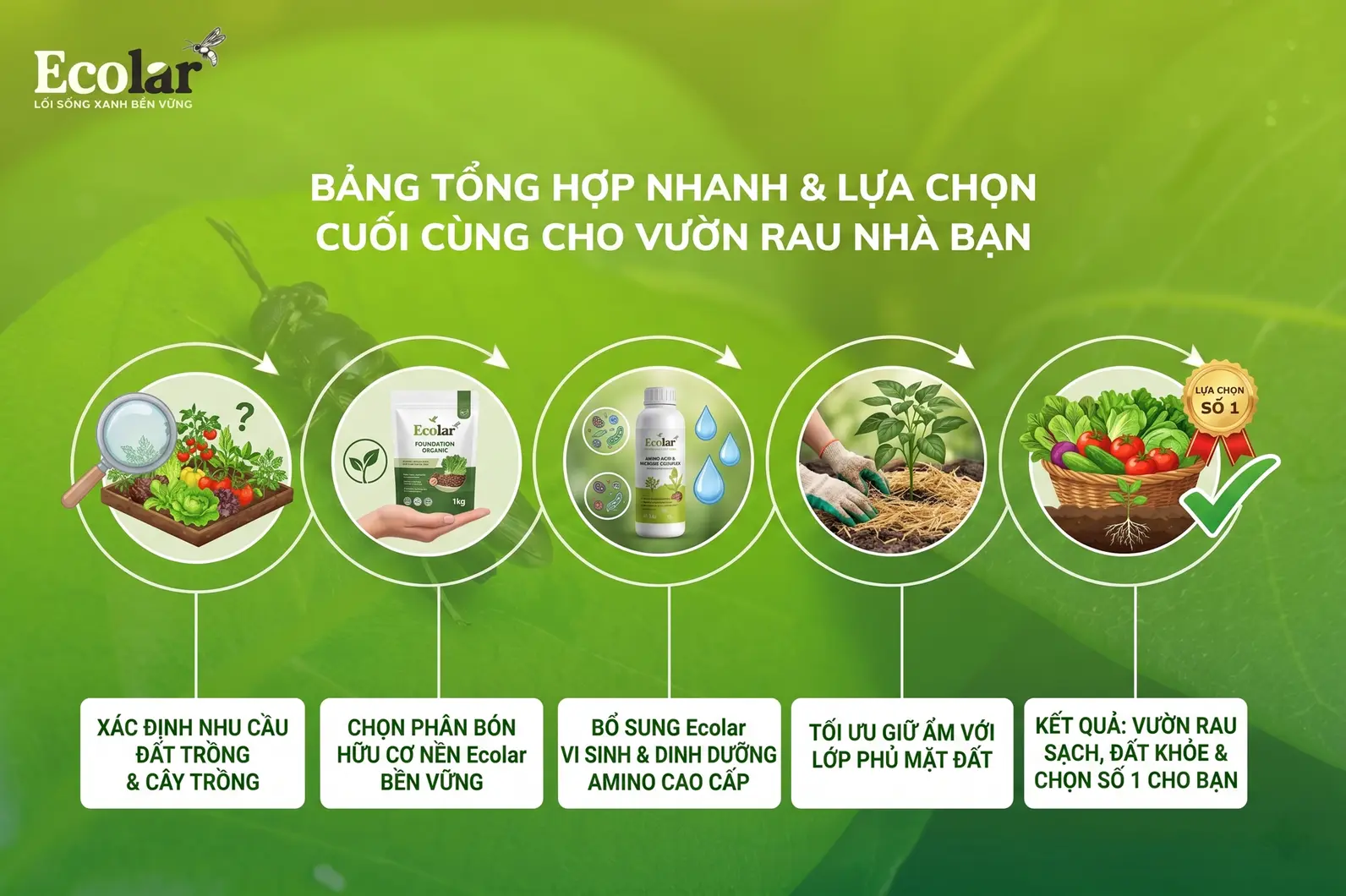 a-chon-cuoi-cung-cho-vuon-rau-nha-ban_a1000cb723bb470e9795b75e086af5e9.webp