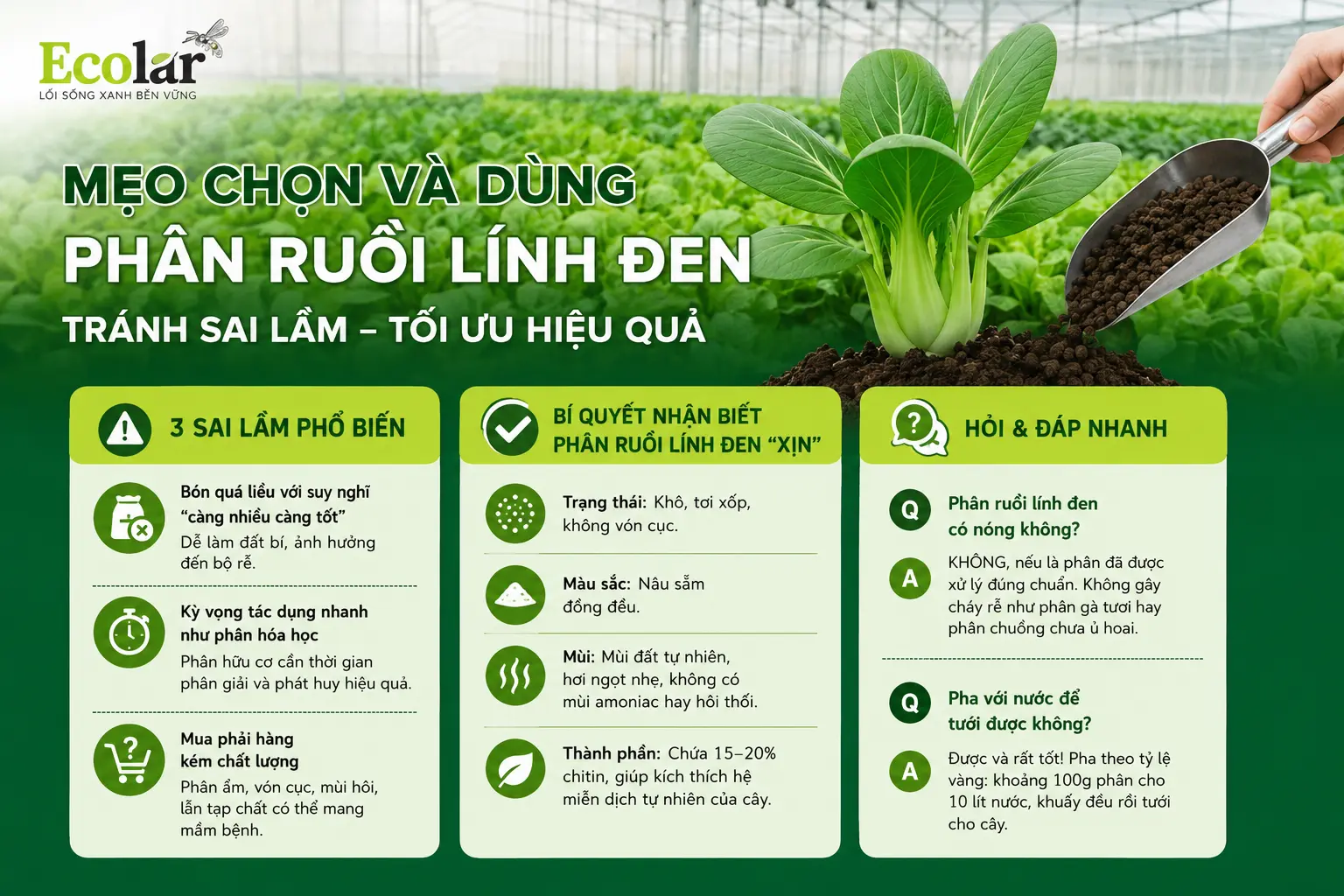a-meo-chon-va-dung-phan-ruoi-linh-den_9fd09869b5e143b38495f10978831f29.webp