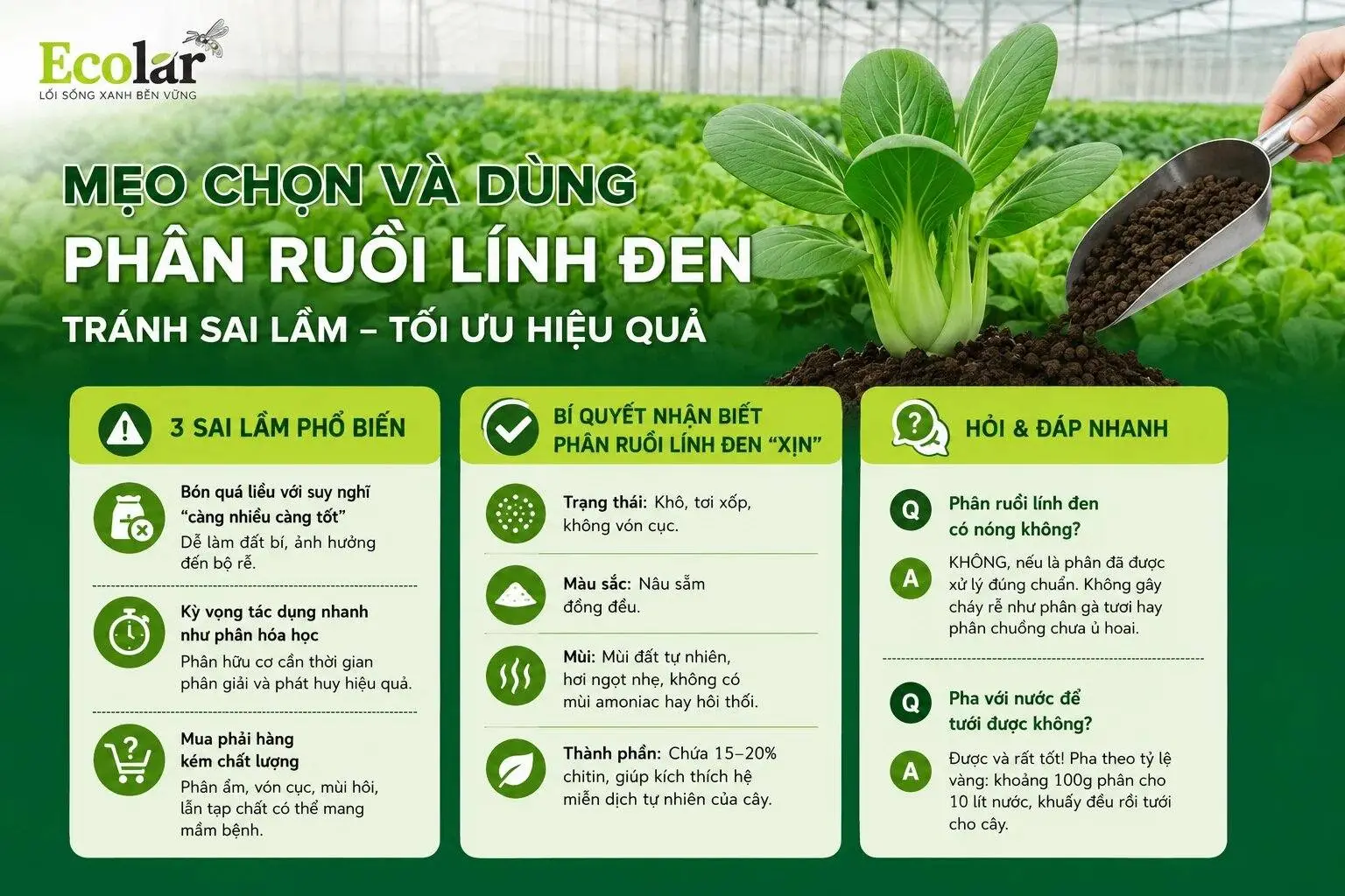 a-meo-chon-va-dung-phan-ruoi-linh-den_9fd09869b5e143b38495f10978831f29.webp