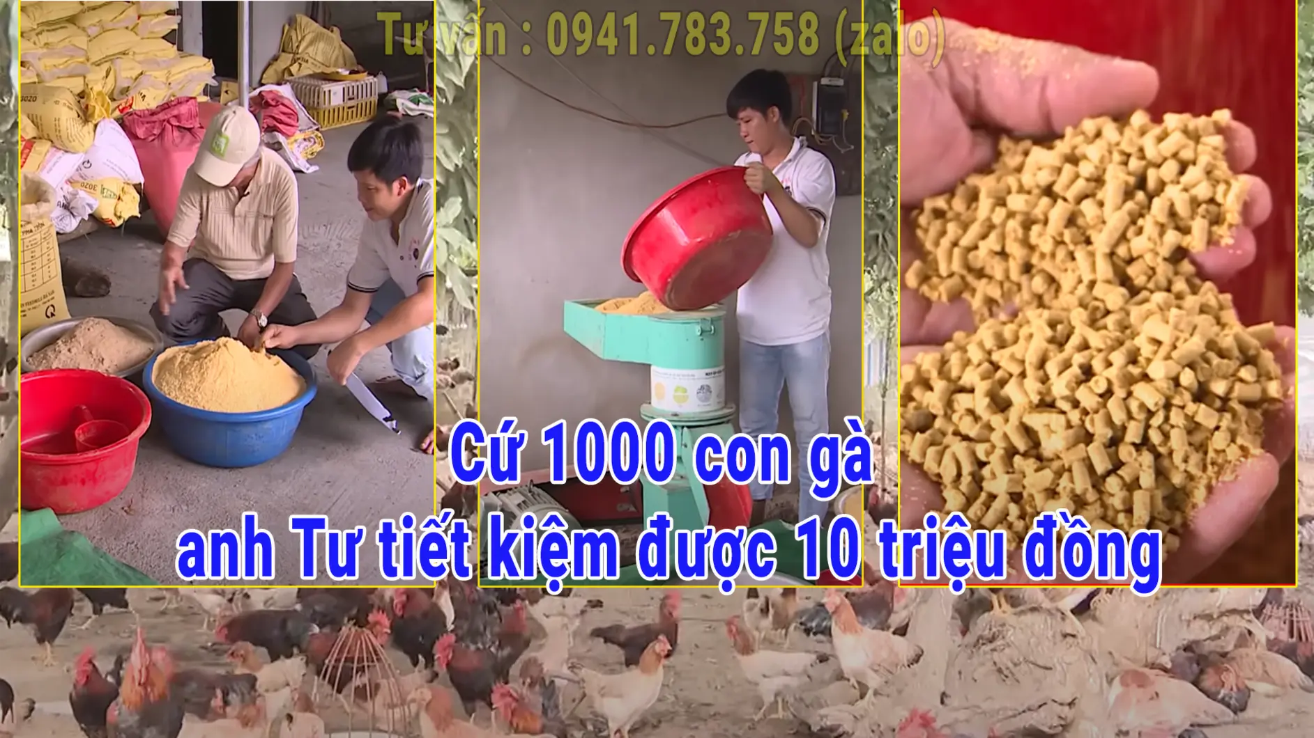 A Tư - thanh hóa.webp