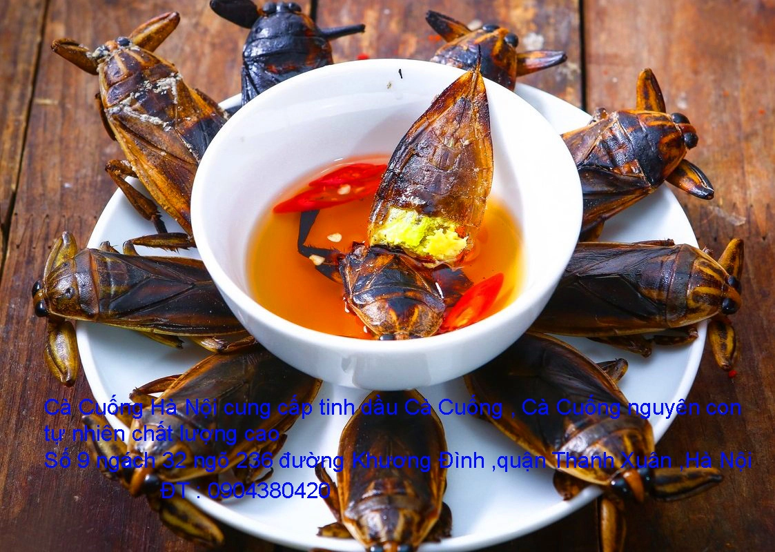 A1 Cà Cuống 65.webp