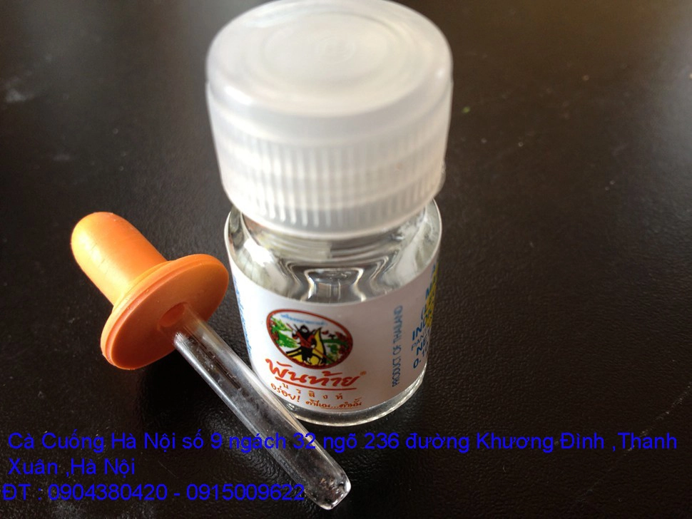 A1 Cà Cuống mới 11.webp