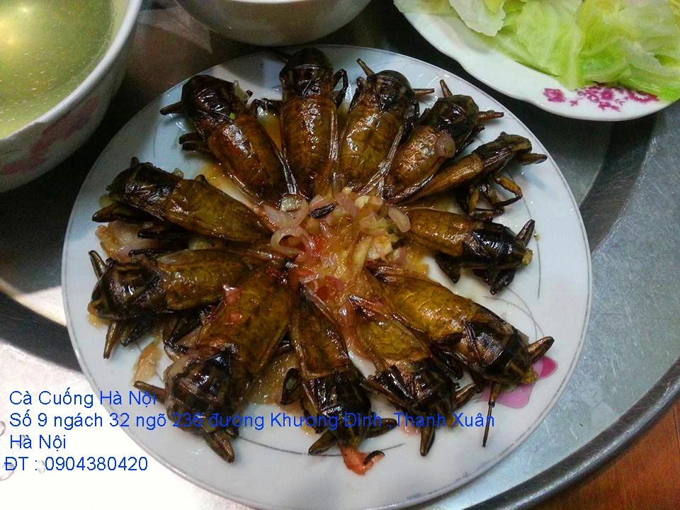 A1 Cà Cuống tháng 10 4.webp