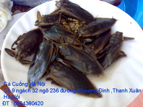 A1 Cà Cuosng tháng 10 17.webp