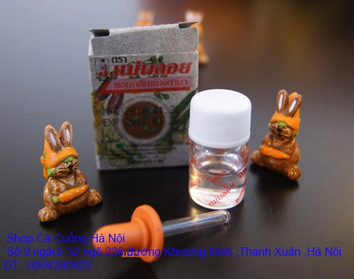 A1 Con Cà Cuống 39.webp