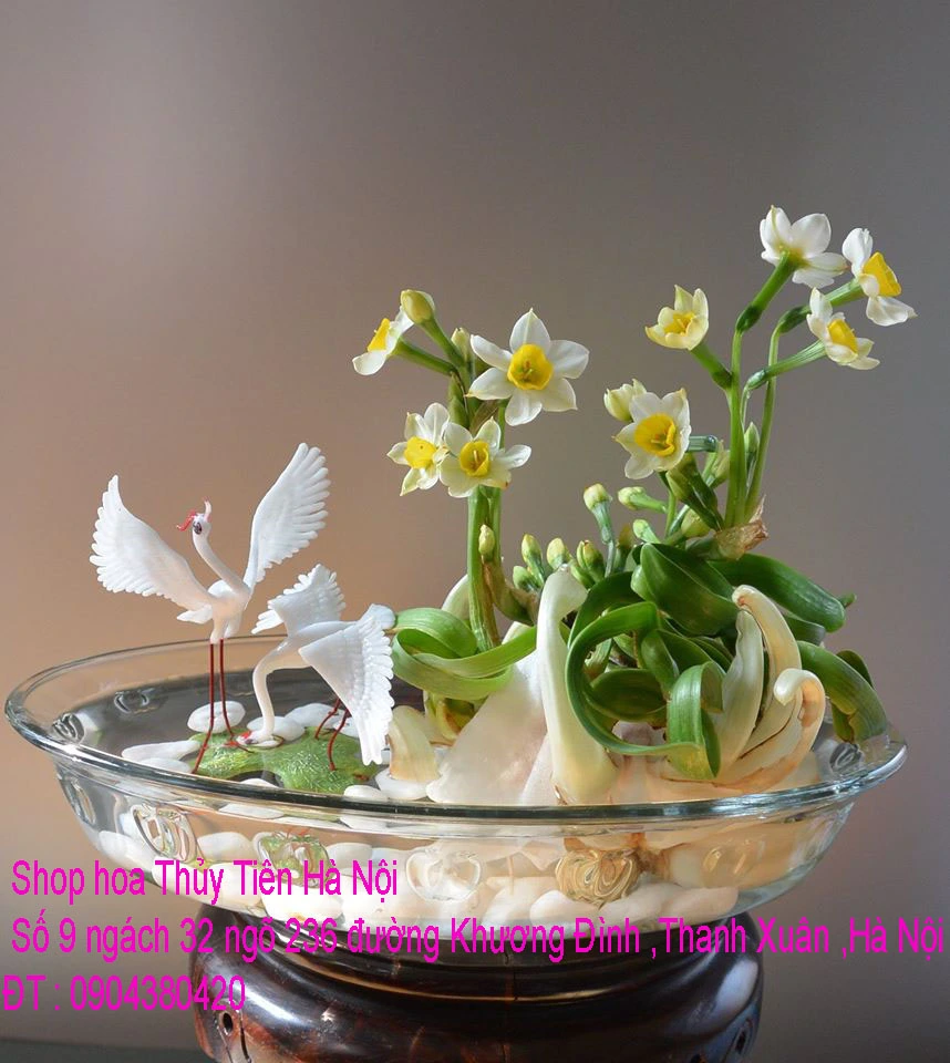 A1 Thủy Tiên 2020 100.webp