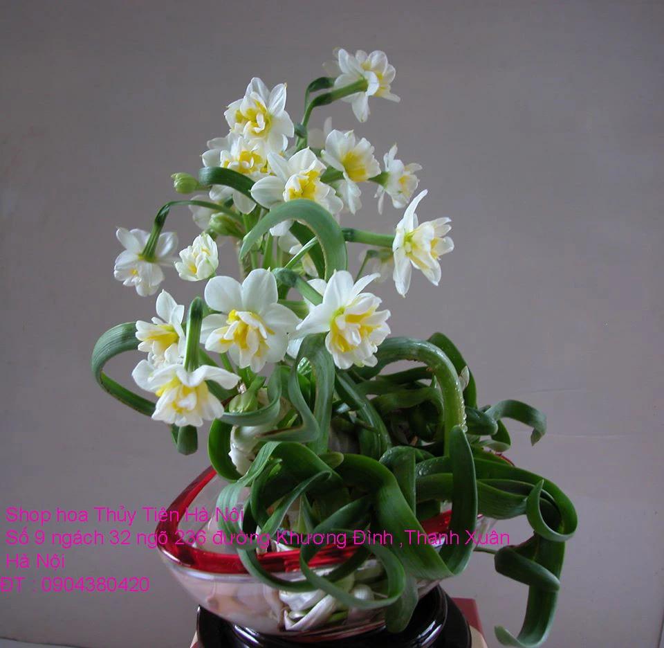 A1 Thủy Tiên 2020 123.webp