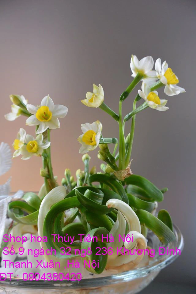 A1 Thủy Tiên 2020 35.webp