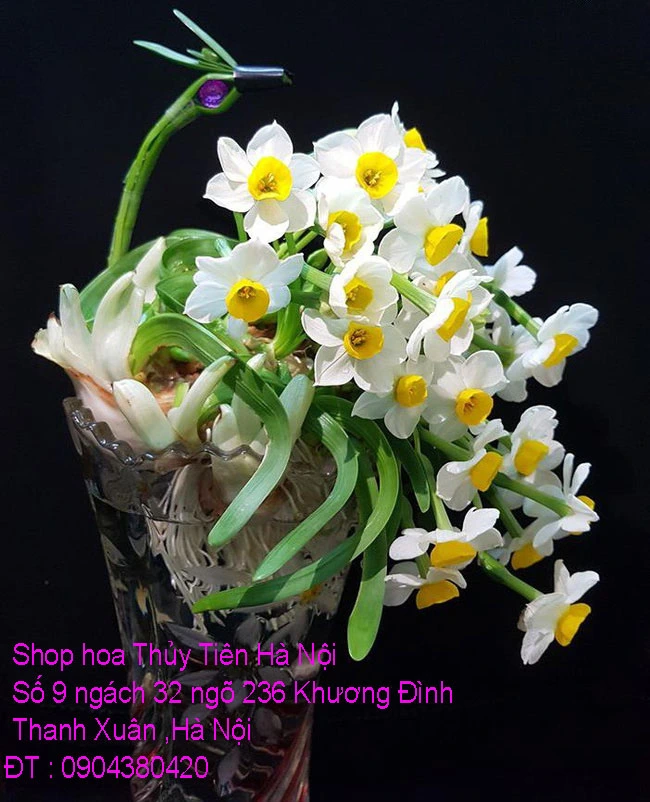 A1 Thủy Tiên 2020 47.webp