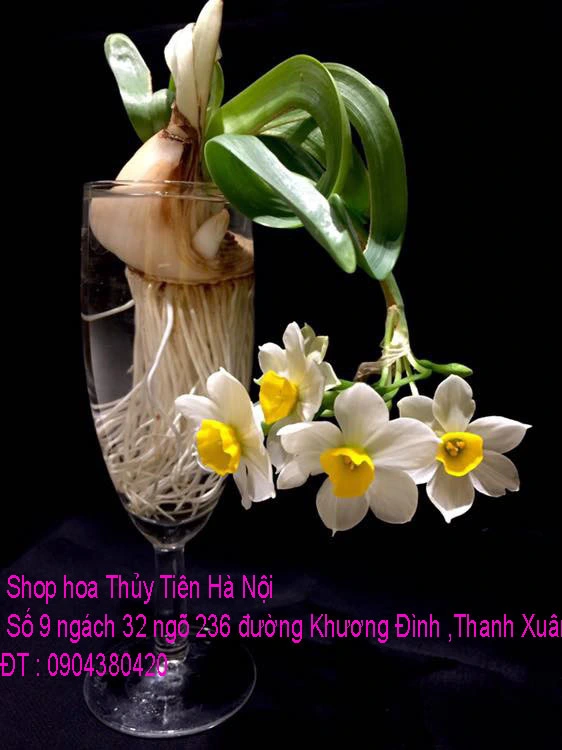 A1 Thủy Tiên 2020 84.webp