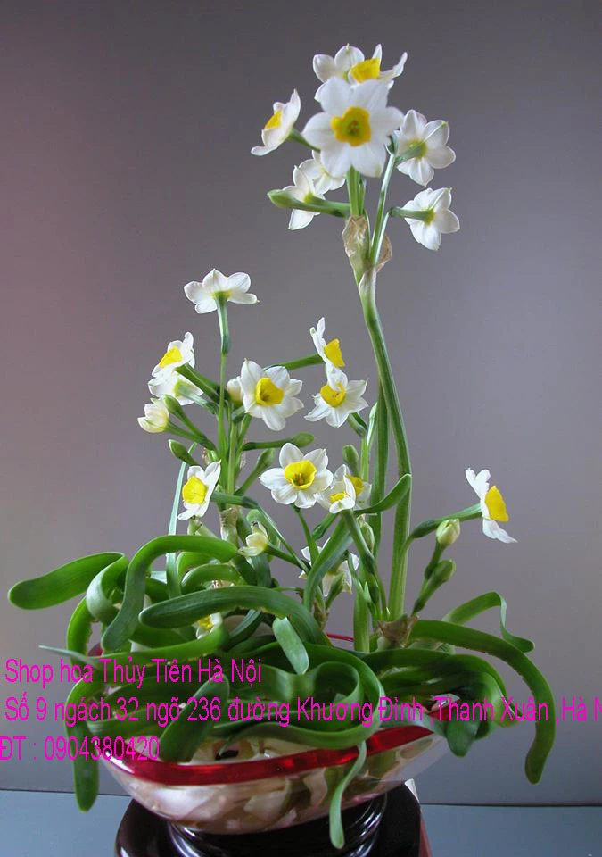 A1 Thủy Tiên 2020 87.webp