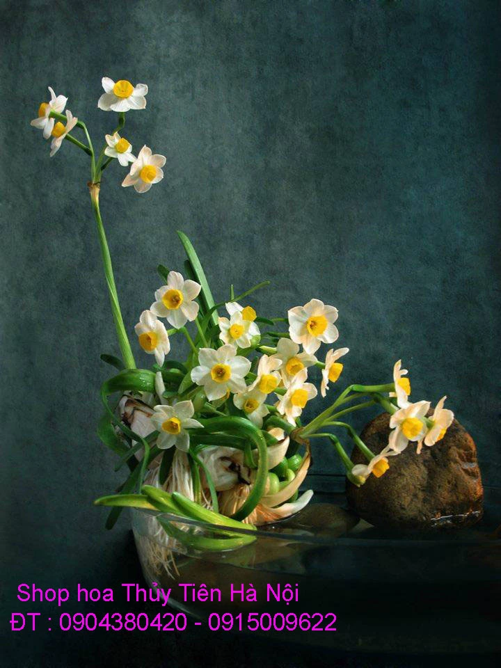 A1 Thủy Tiên 2020 đẹp 7.webp