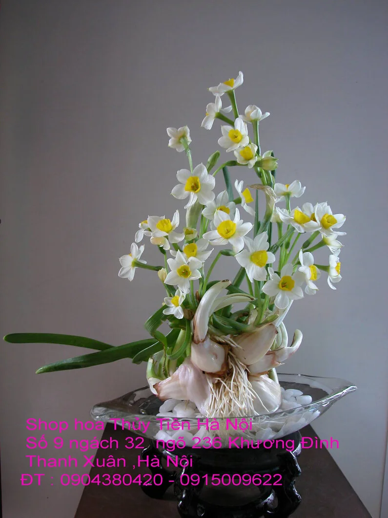 A1 Thủy Tiên 2021 18.webp