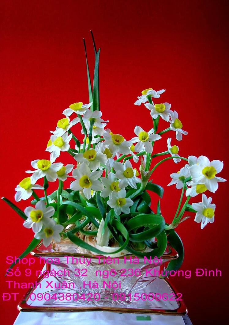 A1 Thủy Tiên 2021 28.webp