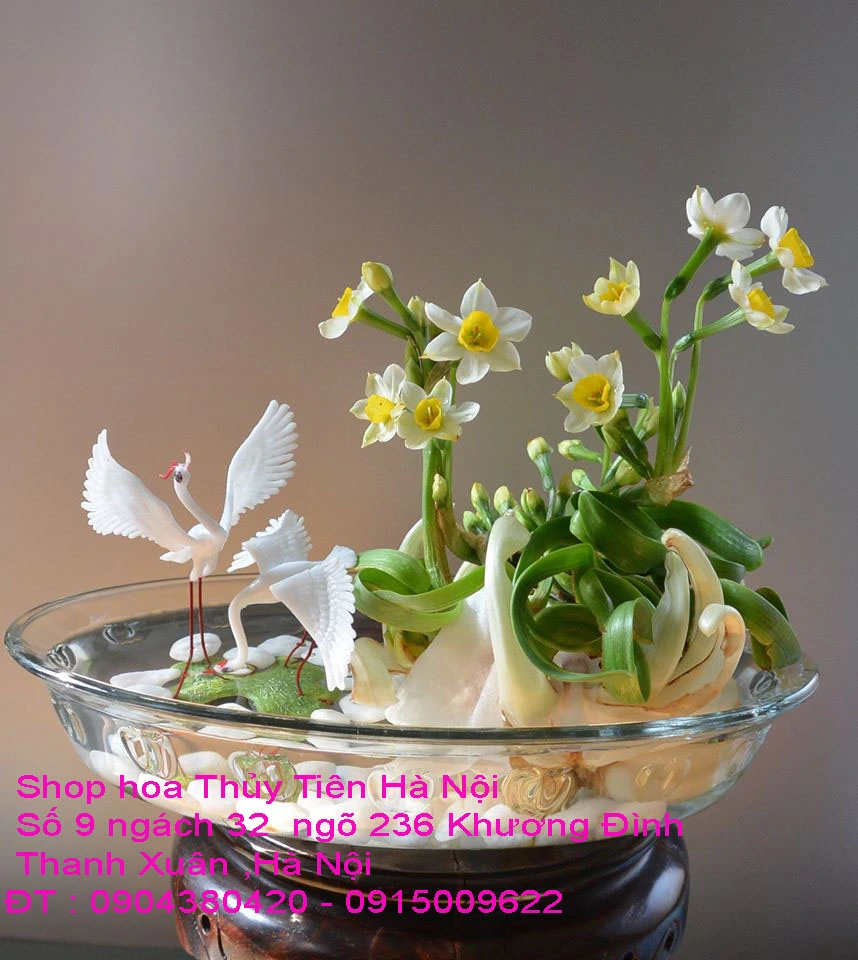 A1 Thủy Tiên 2021 33.webp