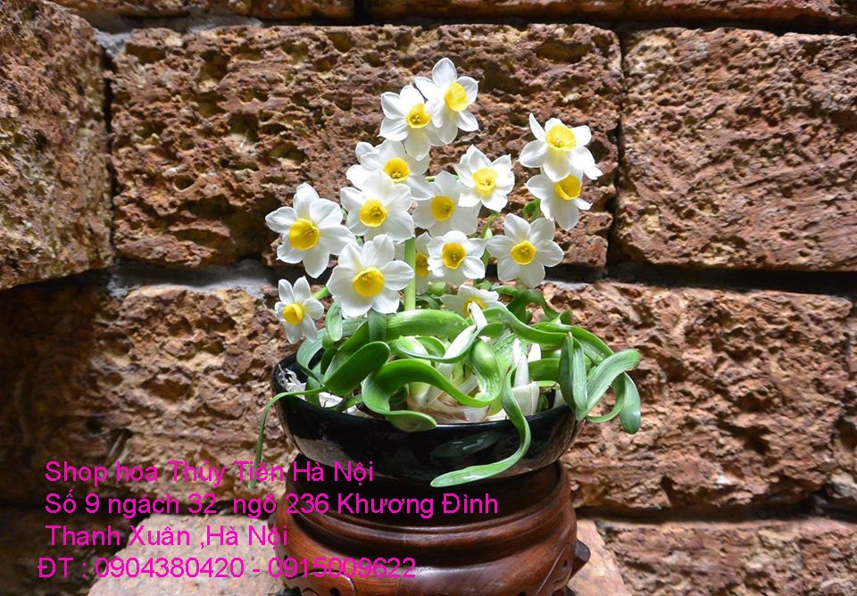 A1 Thủy Tiên 2021 34.webp