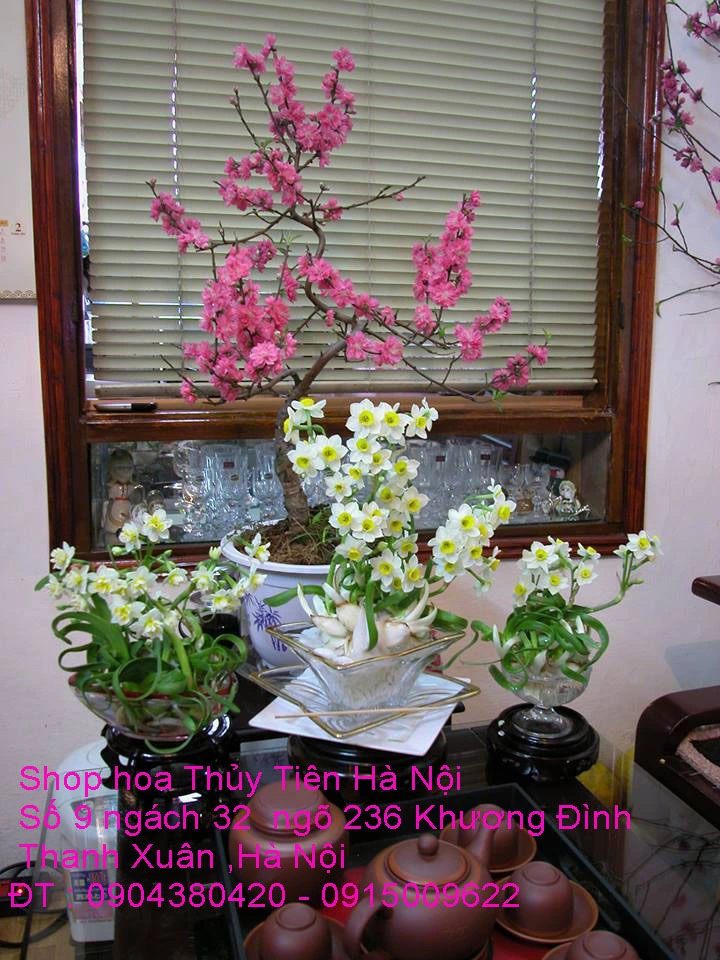 A1 Thủy Tiên 2021 40.webp