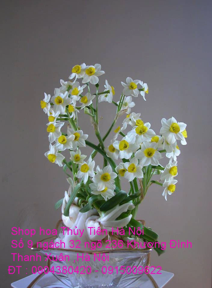 A1 Thủy Tiên 2021 45.webp