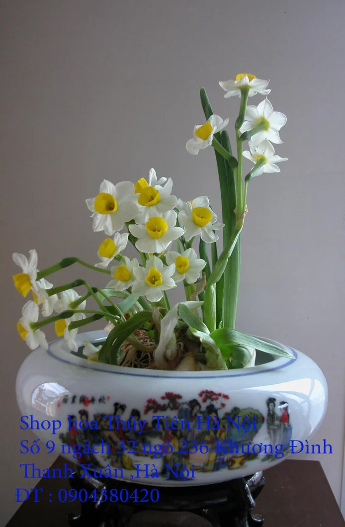 A1 Thủy Tiên 2022 23.webp