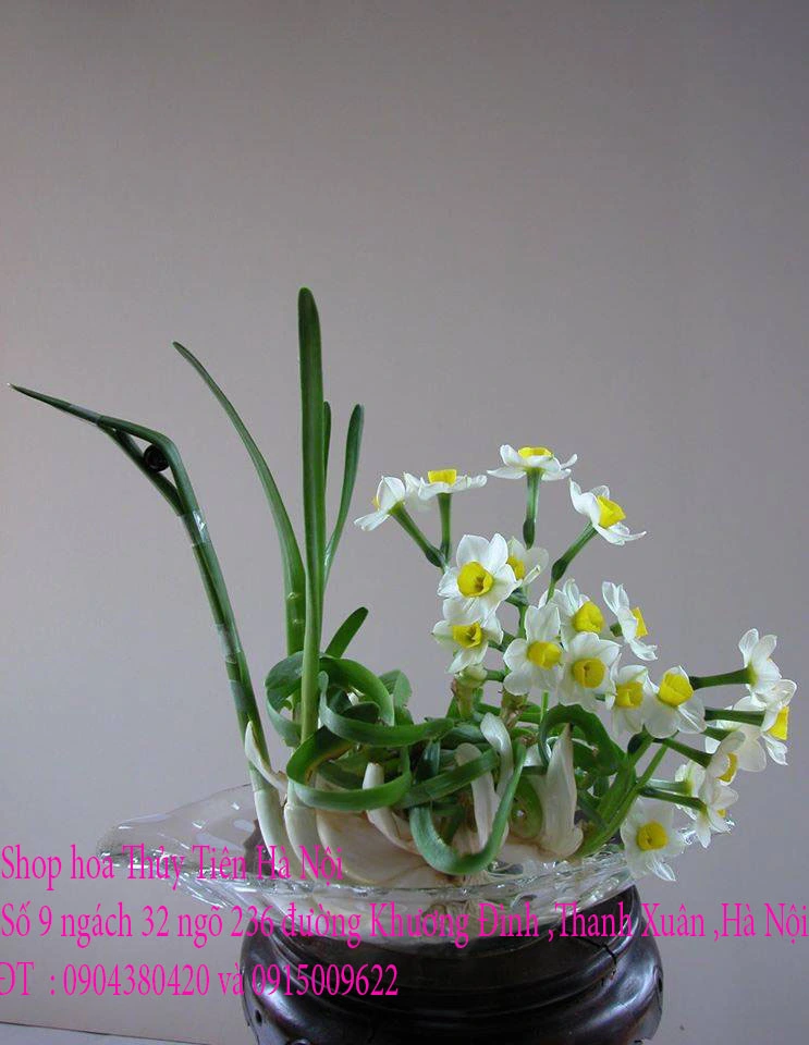 A1 Thủy Tiên 2023 6.webp