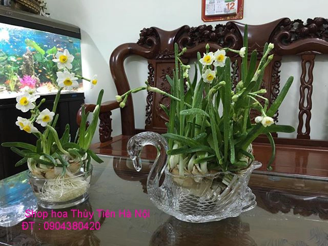 A1 Thủy Tiên đẹp 2019.webp