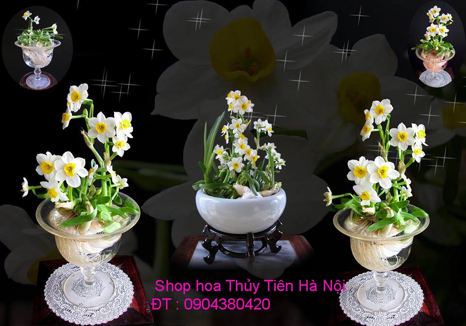 A1 Thủy Tiên ok 5.webp