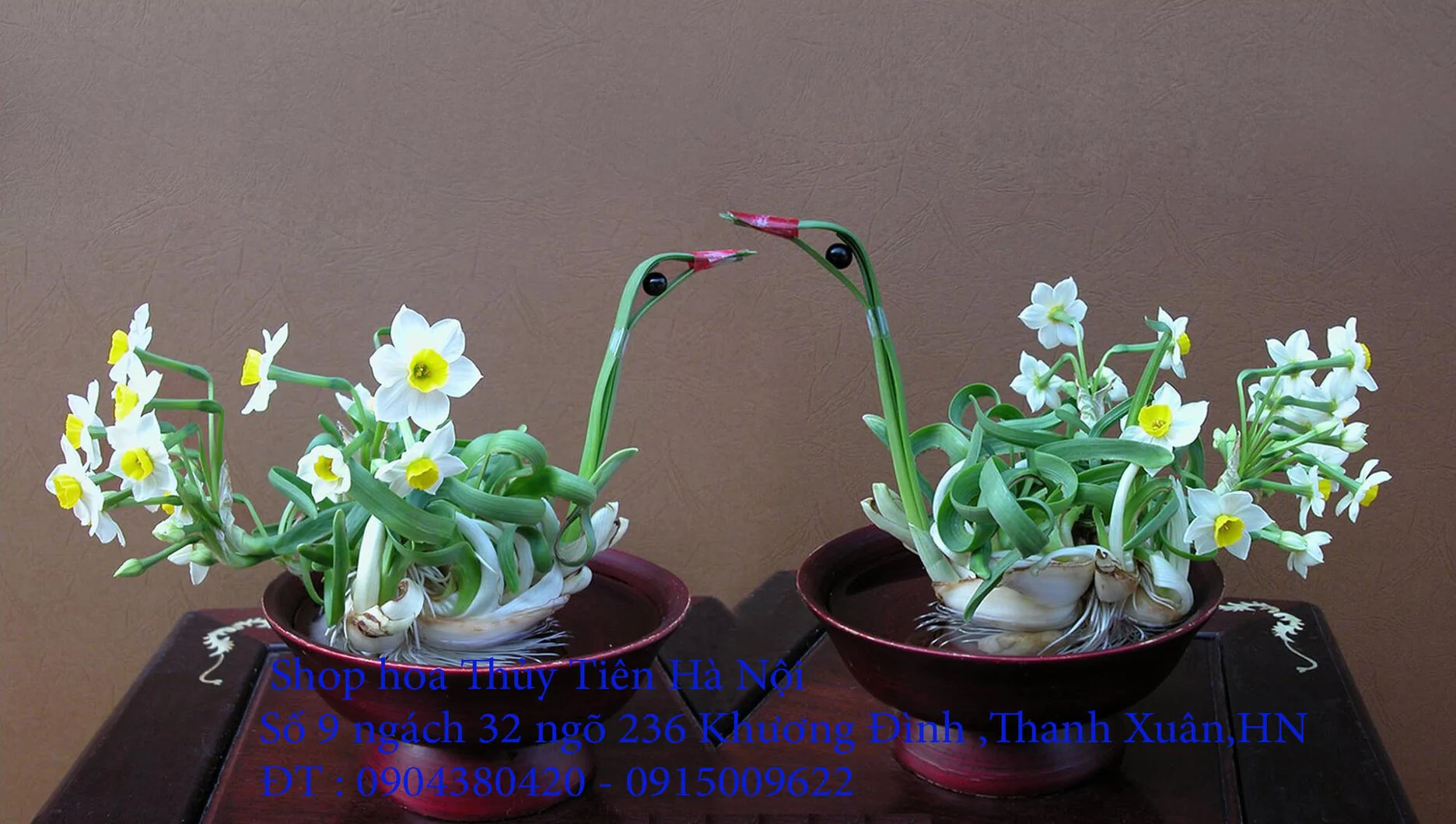 A1 Thủy Tiên T1 -2022 2.webp