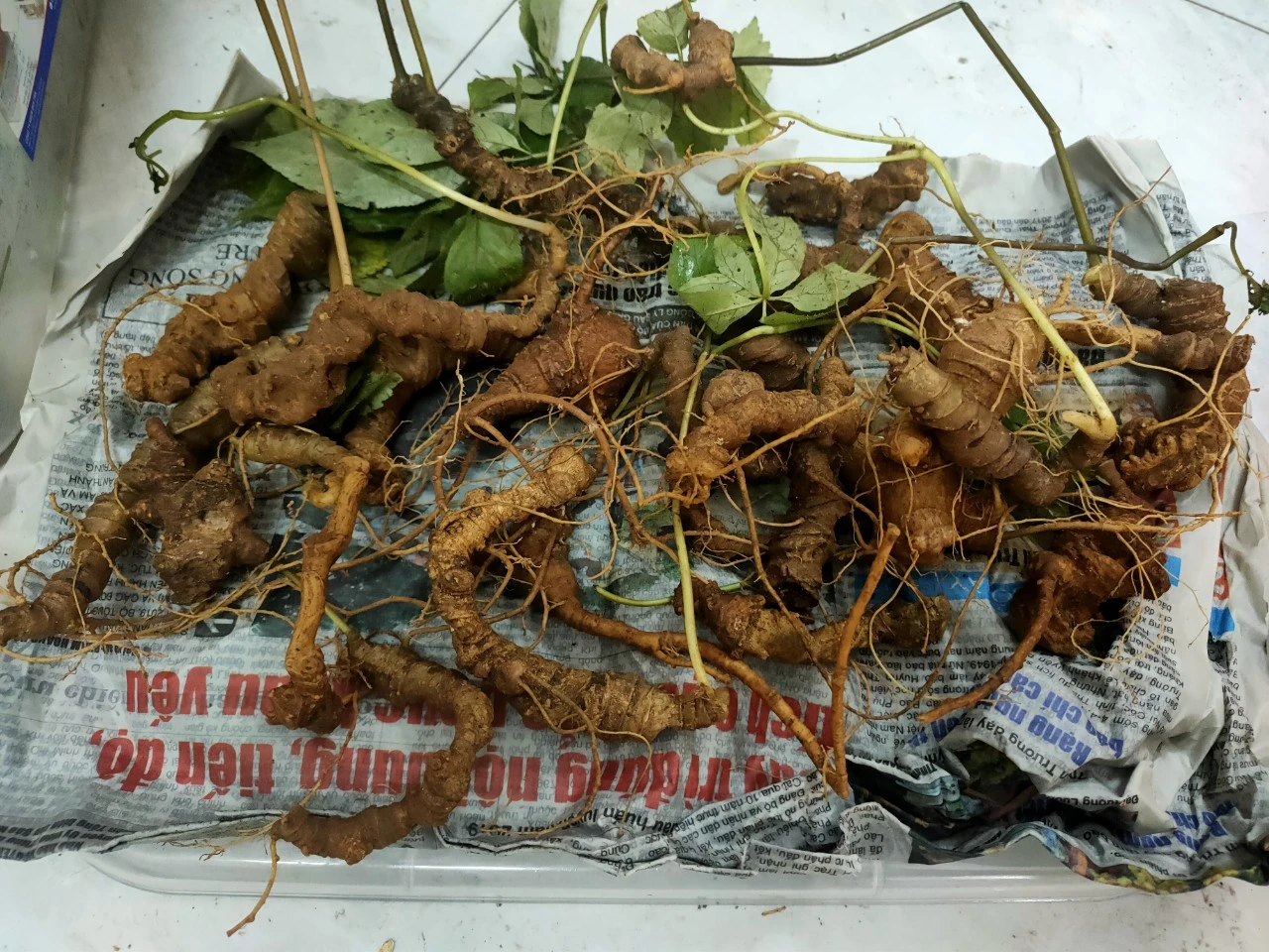 a3cb6bffb17e57200e6f (1).webp