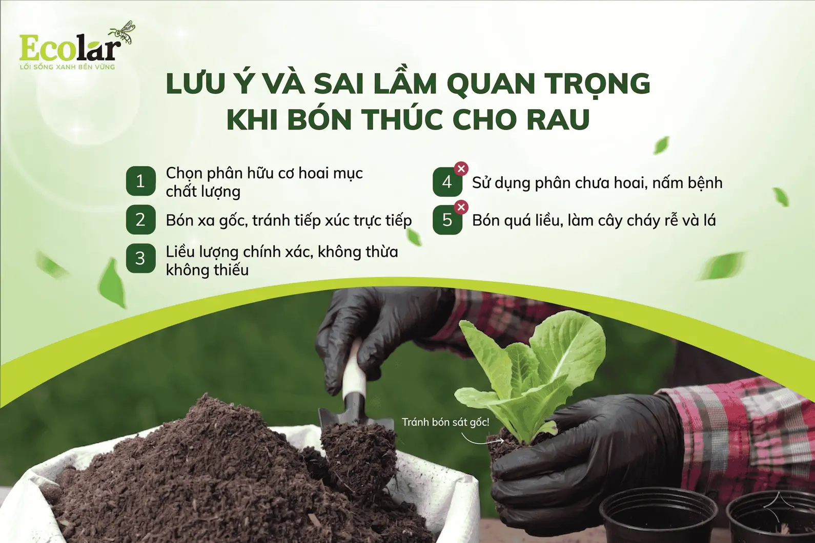 ai-lam-can-tranh-khi-bon-thuc-cho-rau_b3669bc7873a4f0db9c0059488b9f727.webp