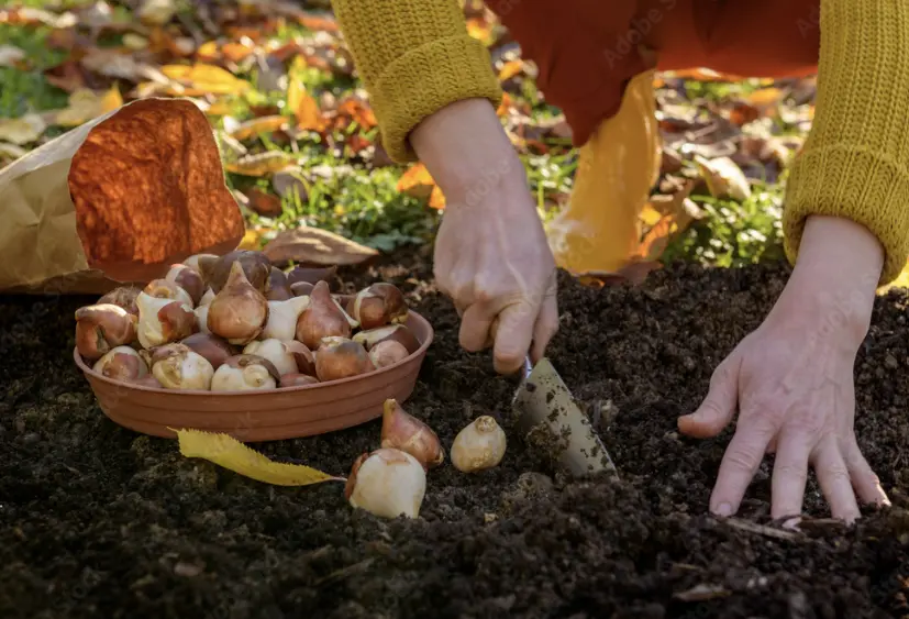 Ảnh chụp màn hình 2023-07-08 172756.webp