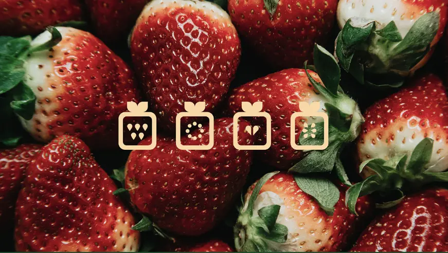 Trồng và Chăm sóc Dâu Tây: Mẹo và Bí quyết