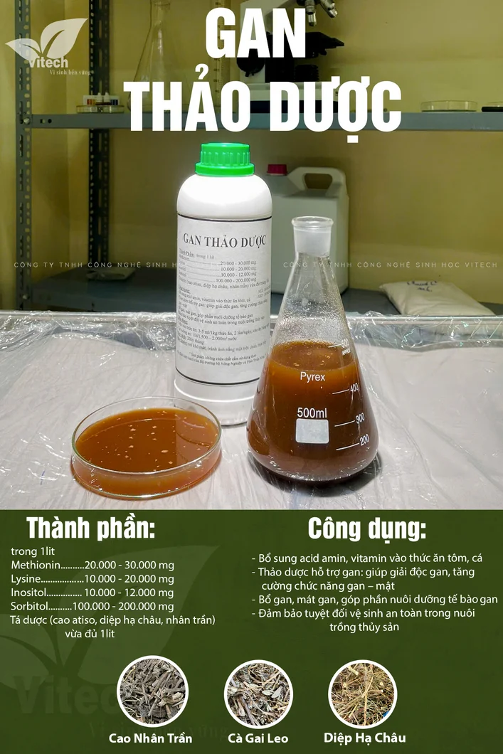 Ảnh dọc fB GAN THAO DUOC.webp