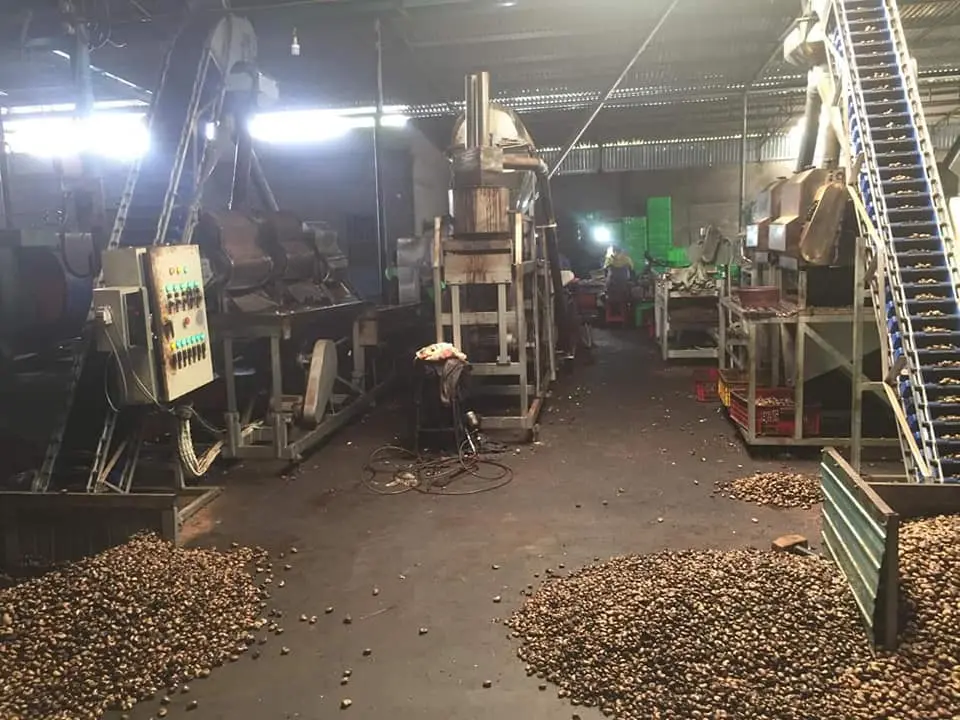 anh nhà máy 1.webp