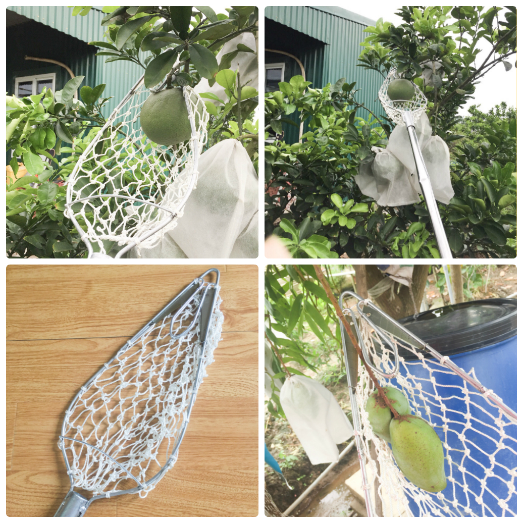 ảnh vợt lưới ghép.webp