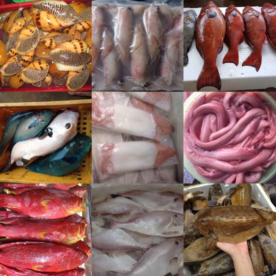 bán cá bò da, cá thỏ biển, cá chìa vôi