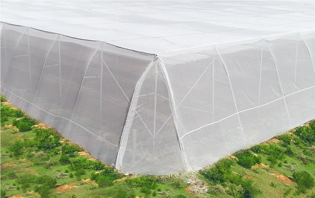 anti vius nets politiv.webp