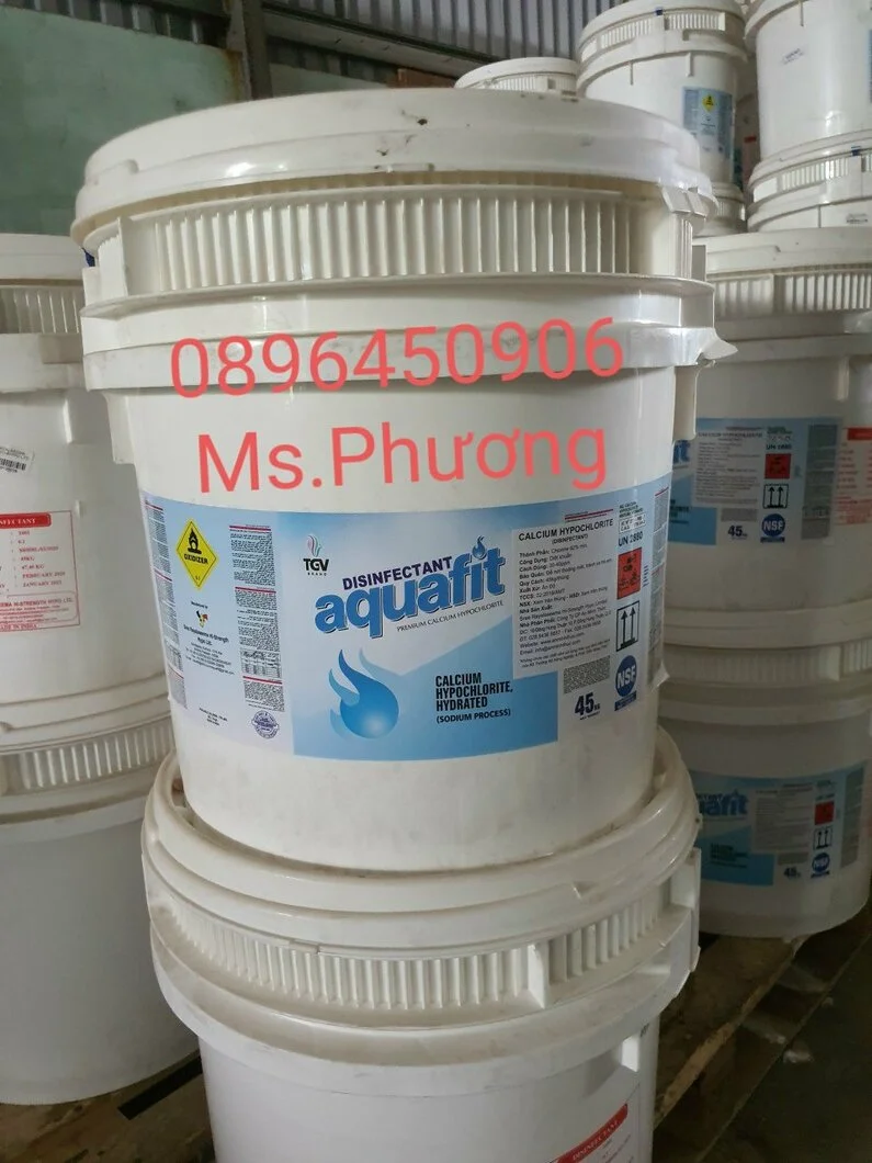 aquafit lùn 62%.webp