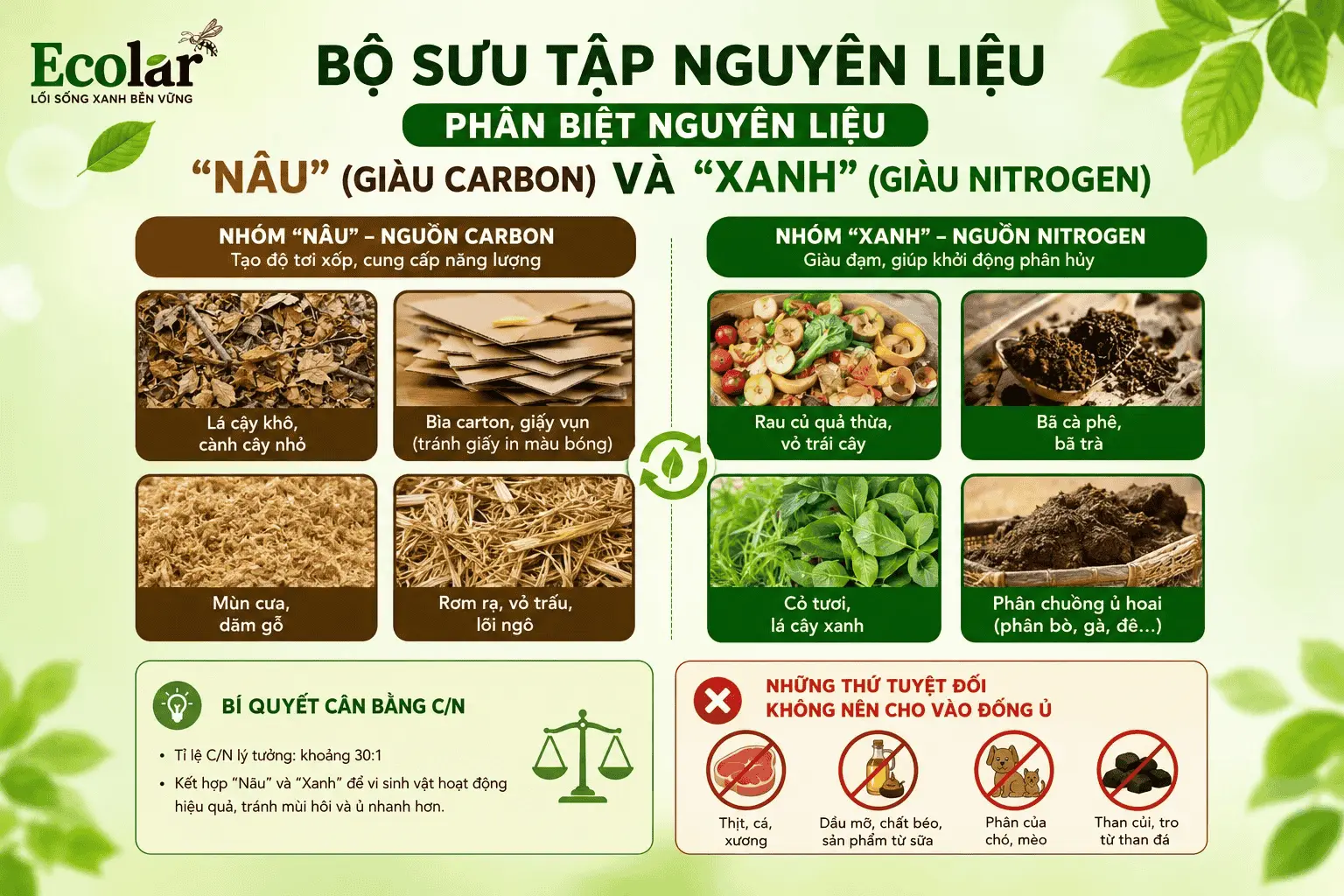 au-giau-carbon-va-xanh-giau-nitrogen__4280c3cdae1b4eb8b57f70a58ac29516 (1).webp