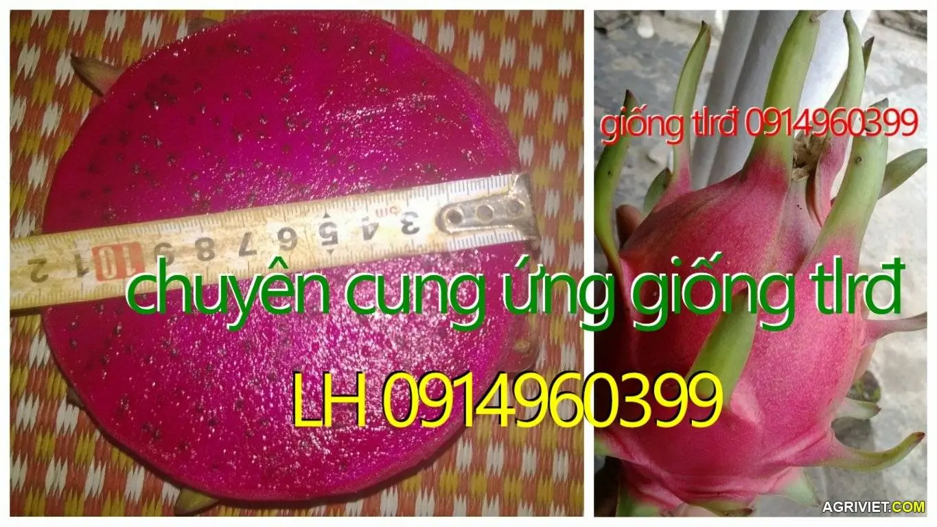 Aviary Photo_130293162314731957.webp