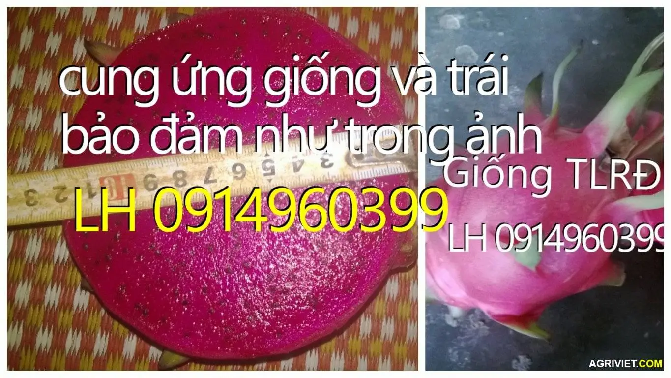 Aviary Photo_130363493094634770.webp