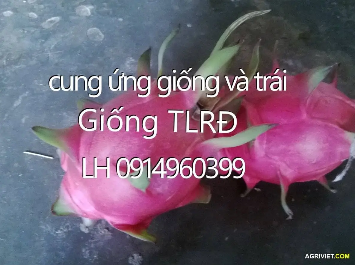 Aviary Photo_130363494449107466.webp