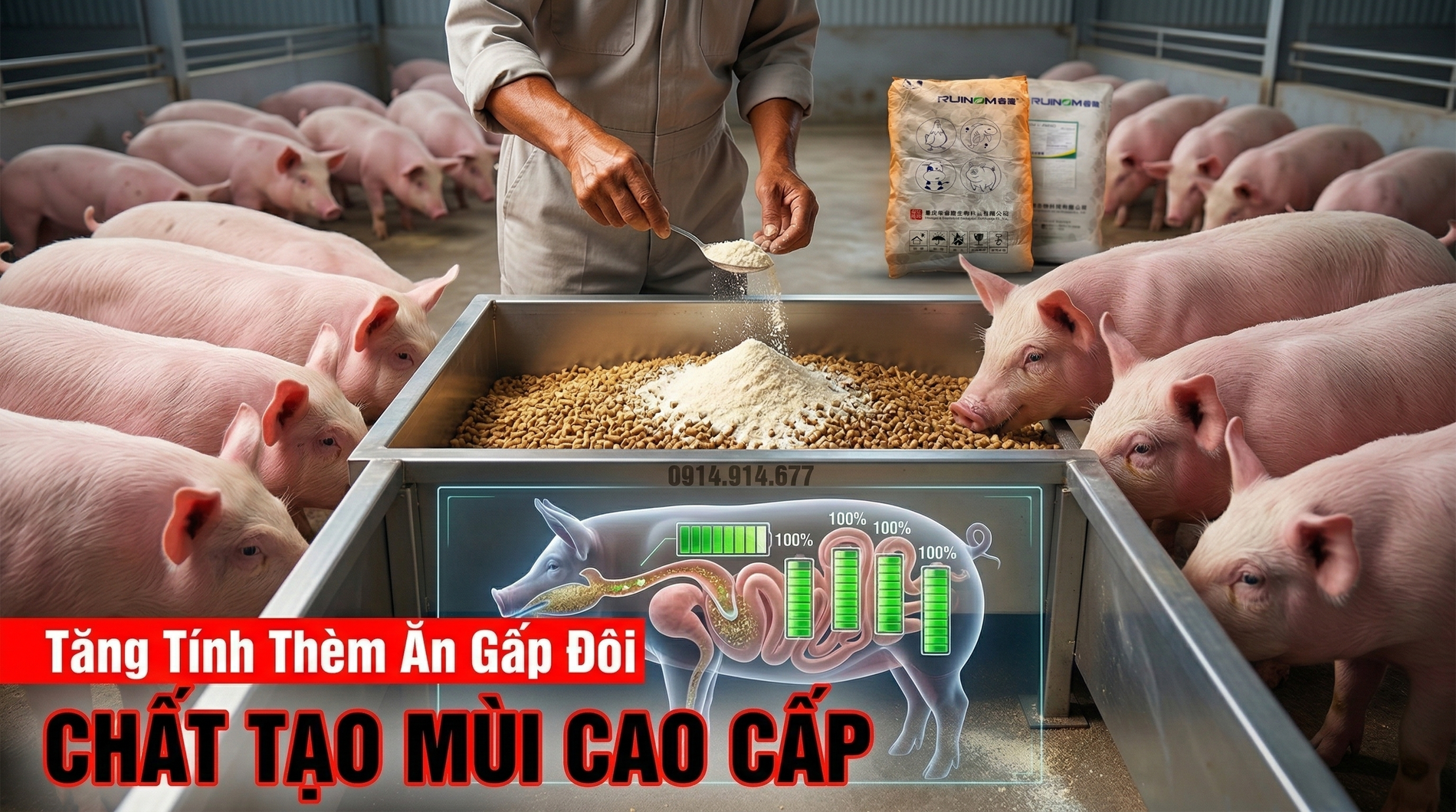 Axit Guanidinoacetic 45% GAA3-3.webp