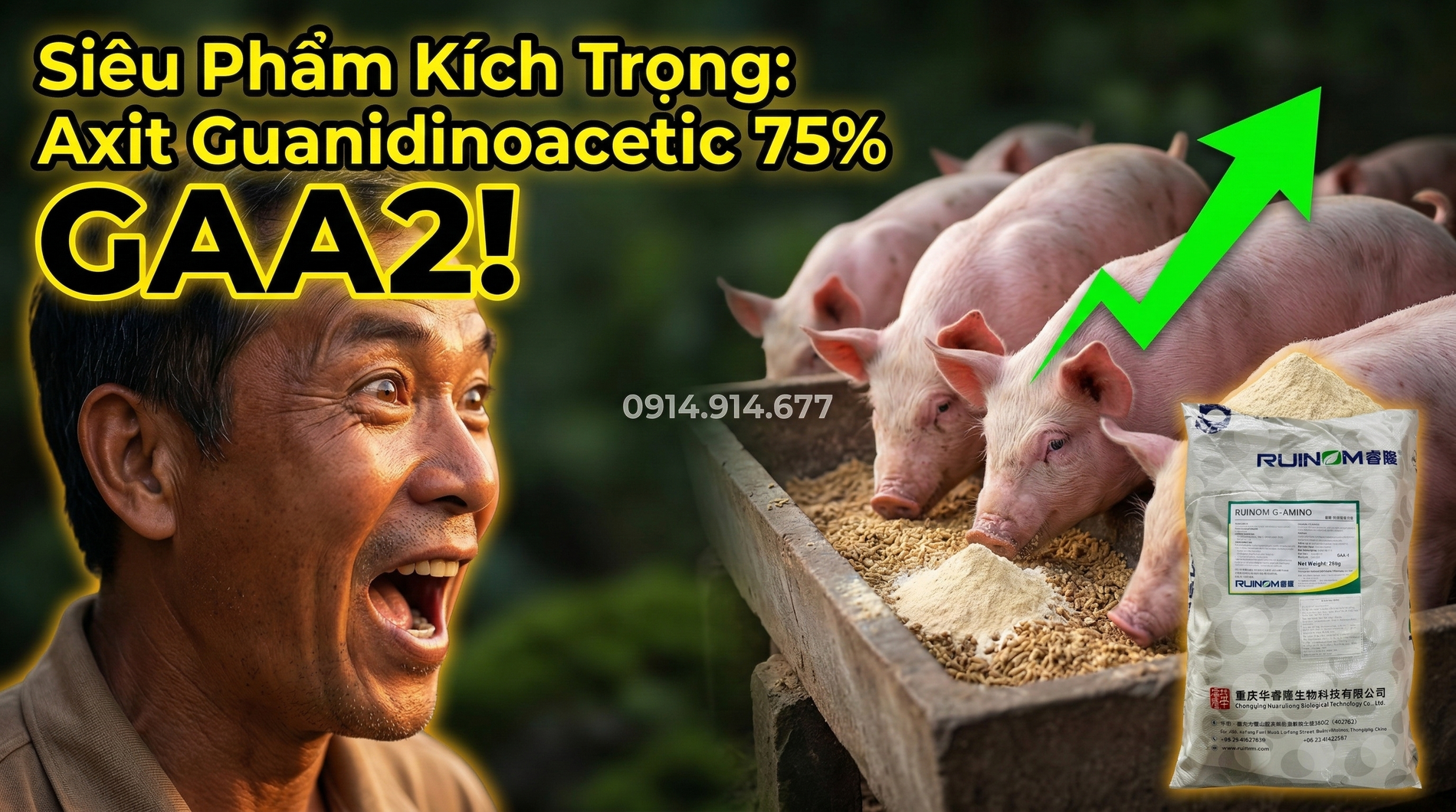 Axit Guanidinoacetic 75% GAA2-6.webp