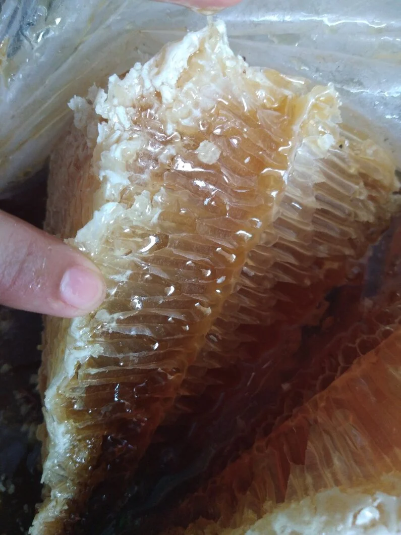 can-canh-to-ong-rung