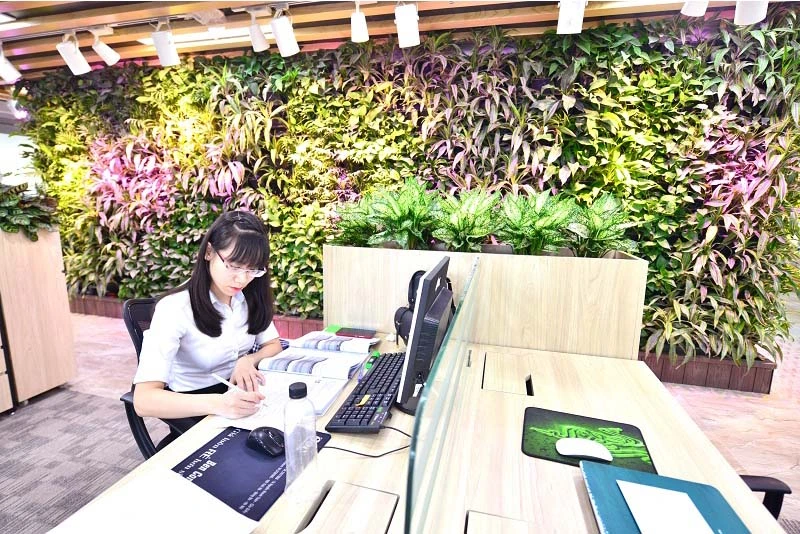 Quy trình thi công vườn treo tường - vườn thẳng đứng (P1)