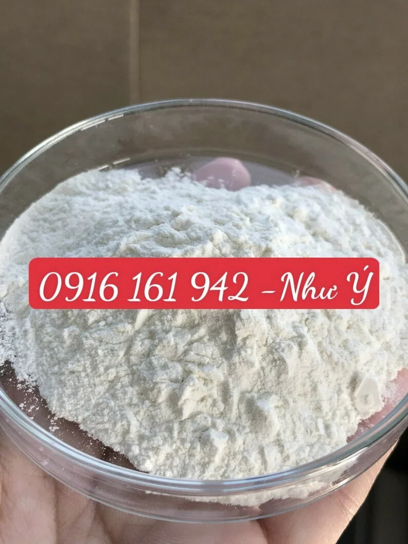 BACCILLUS.jpg 1.webp